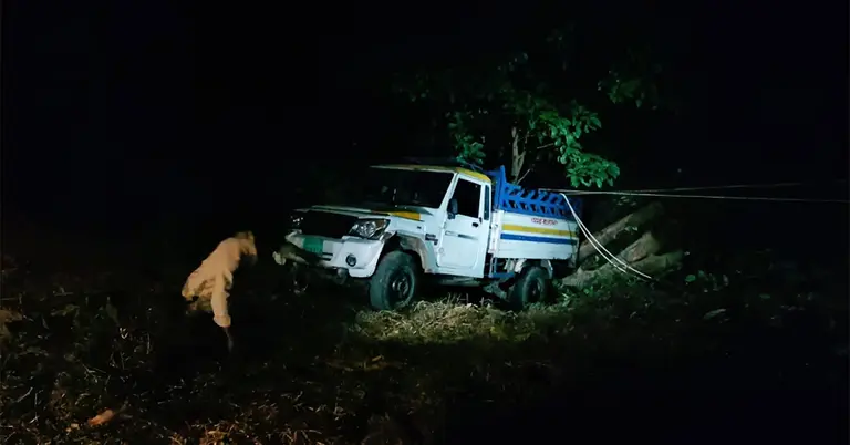 দুর্ঘটনাগ্রস্ত পিকআপ